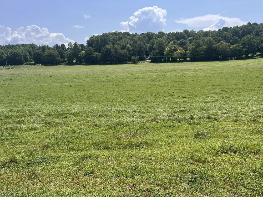 160 County Road 968 Delano, TN 37325