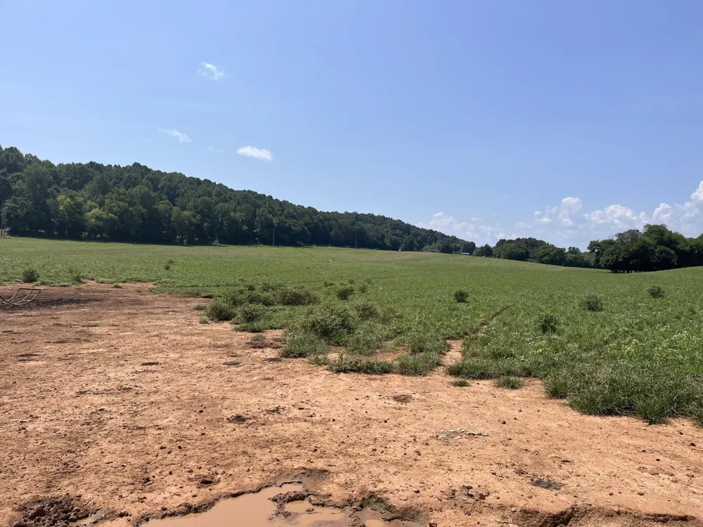 160 County Road 968 Delano, TN 37325