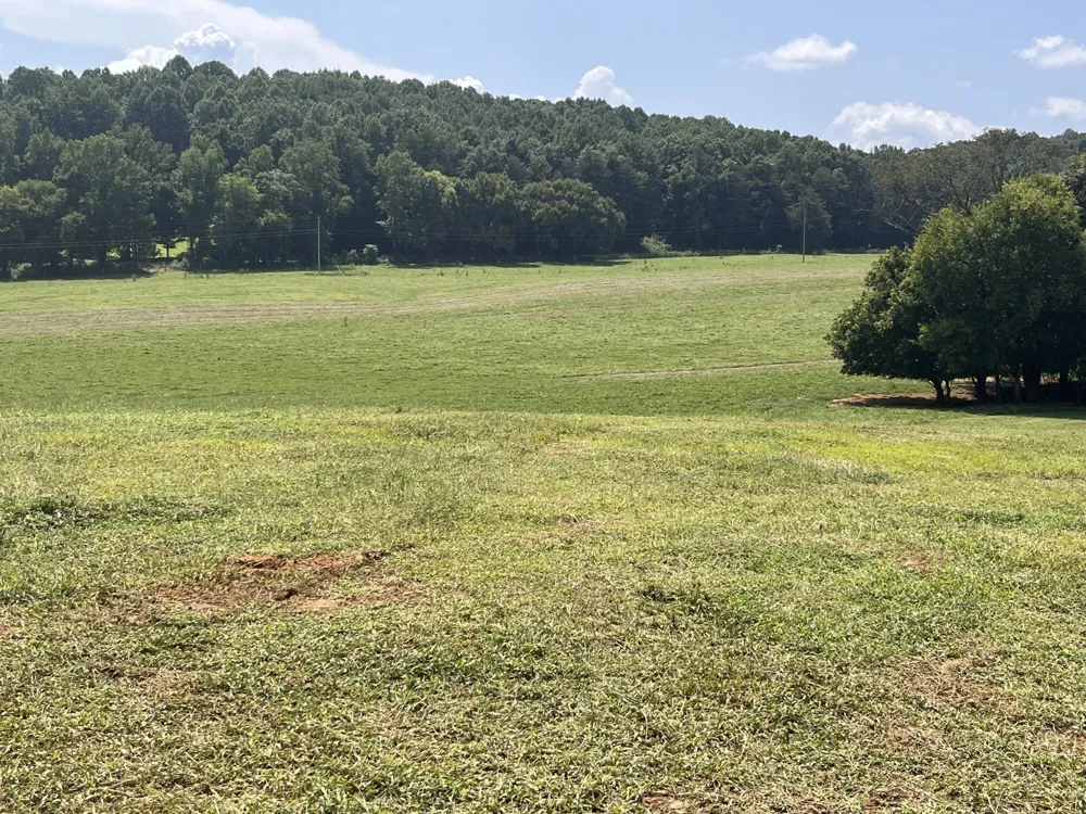 160 County Road 968 Delano, TN 37325