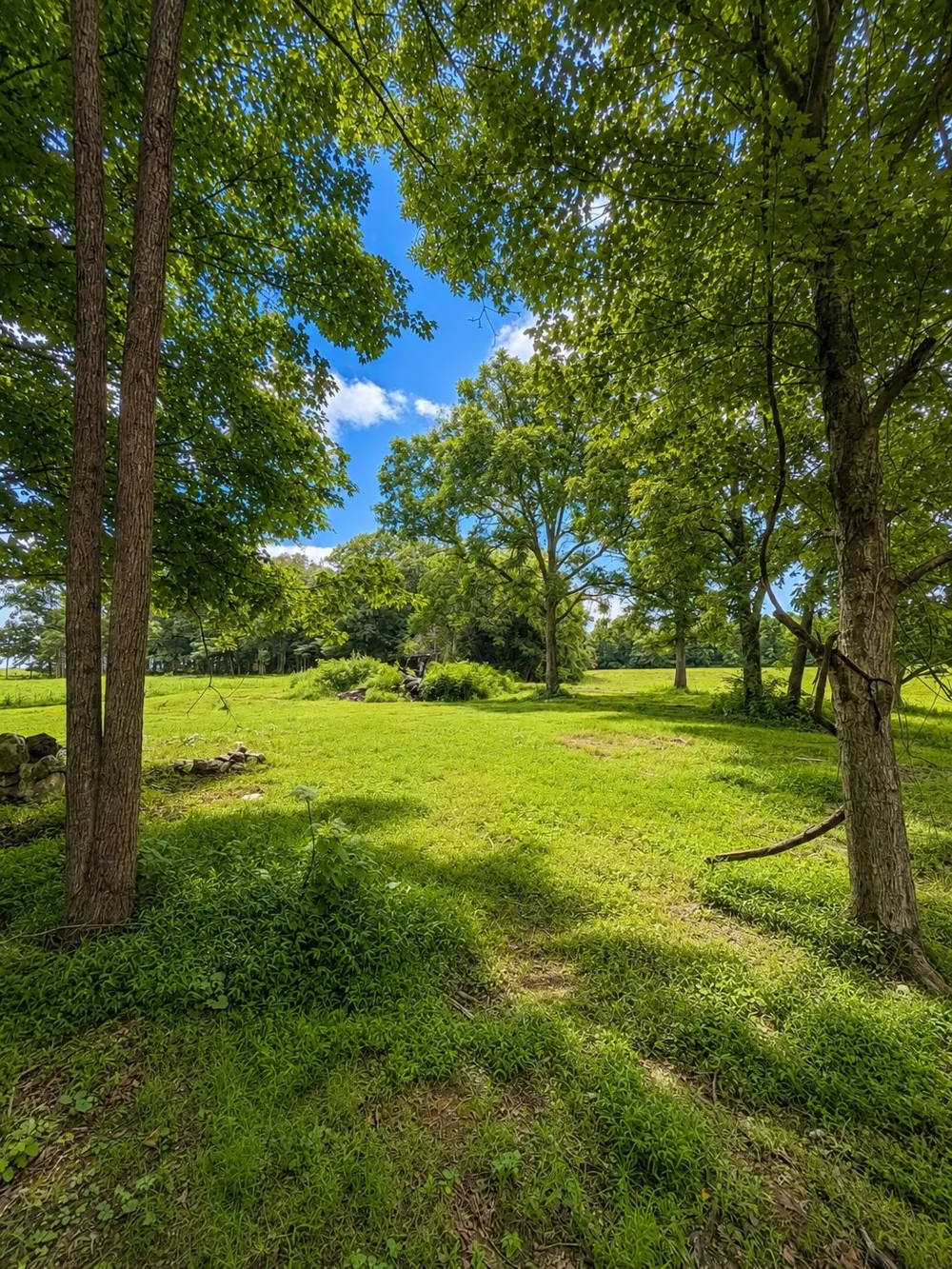 520 Ferrell Rd Smithville, TN 37166