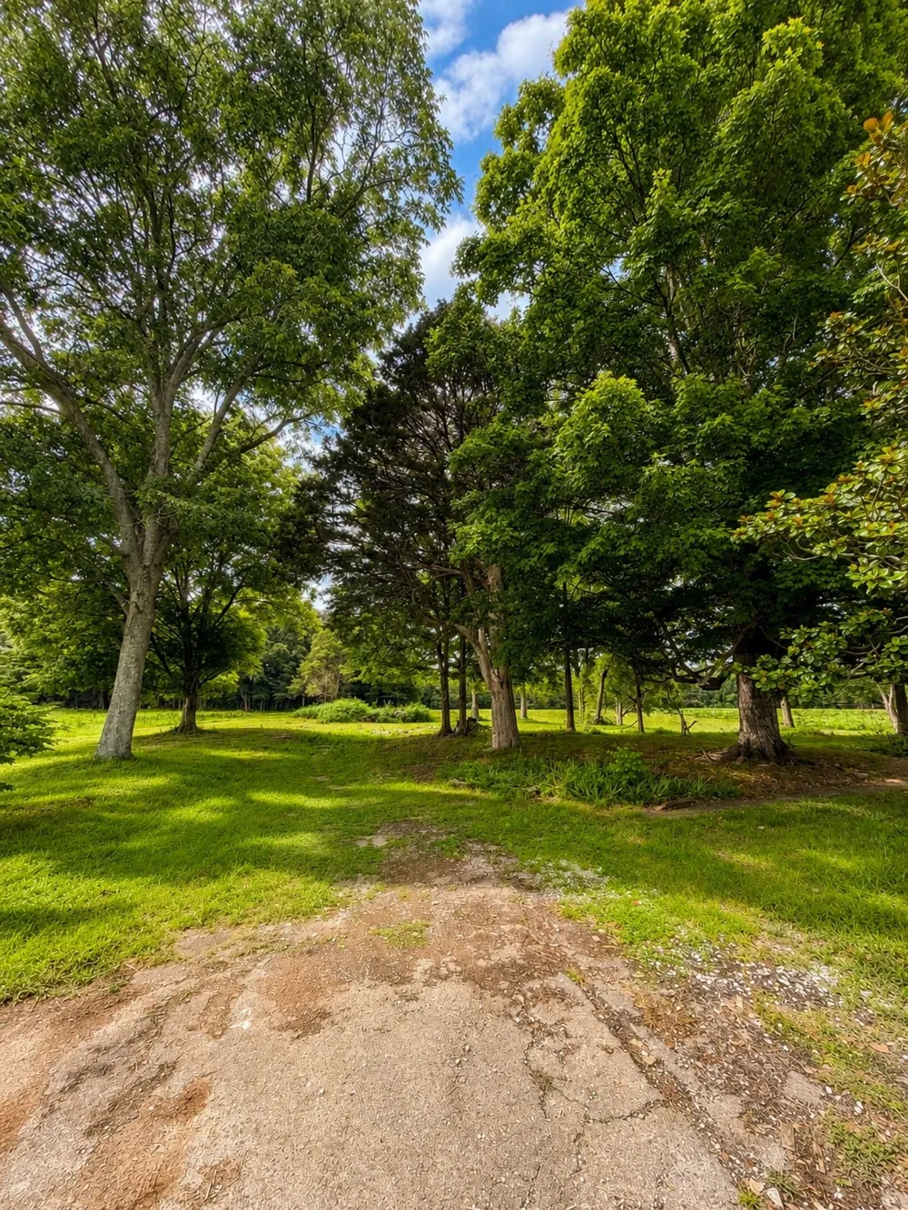 520 Ferrell Rd Smithville, TN 37166