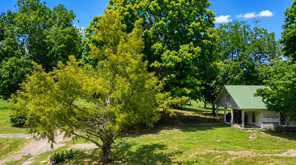 520 Ferrell Rd Smithville, TN 37166