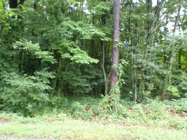 0 Larch Road #28 Salisbury, NC 28147