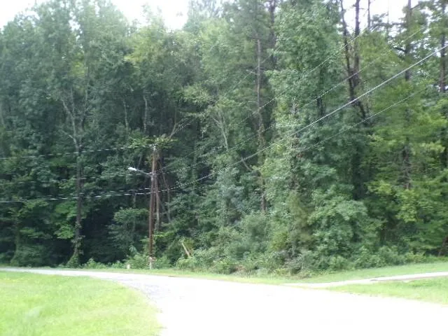 0 Larch Road #28 Salisbury, NC 28147