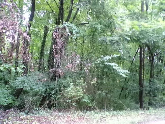 0 Larch Road #28 Salisbury, NC 28147