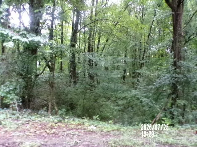 0 Larch Road #28 Salisbury, NC 28147