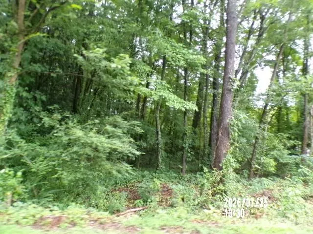 0 Larch Road #28 Salisbury, NC 28147