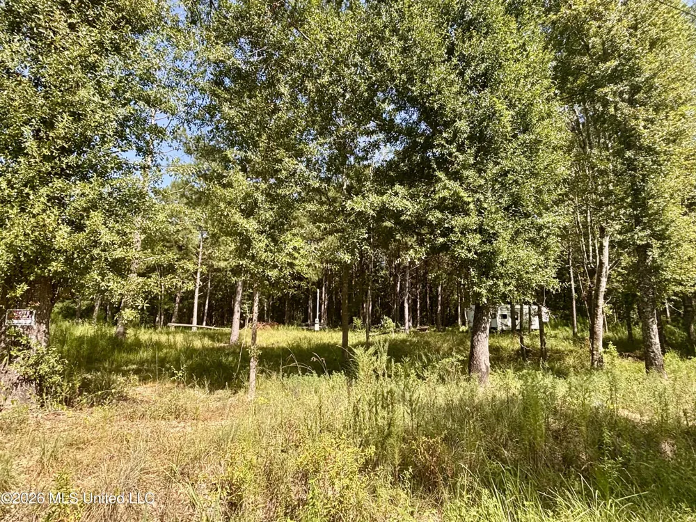 0 Robert Rhodes Poplarville, MS 39470