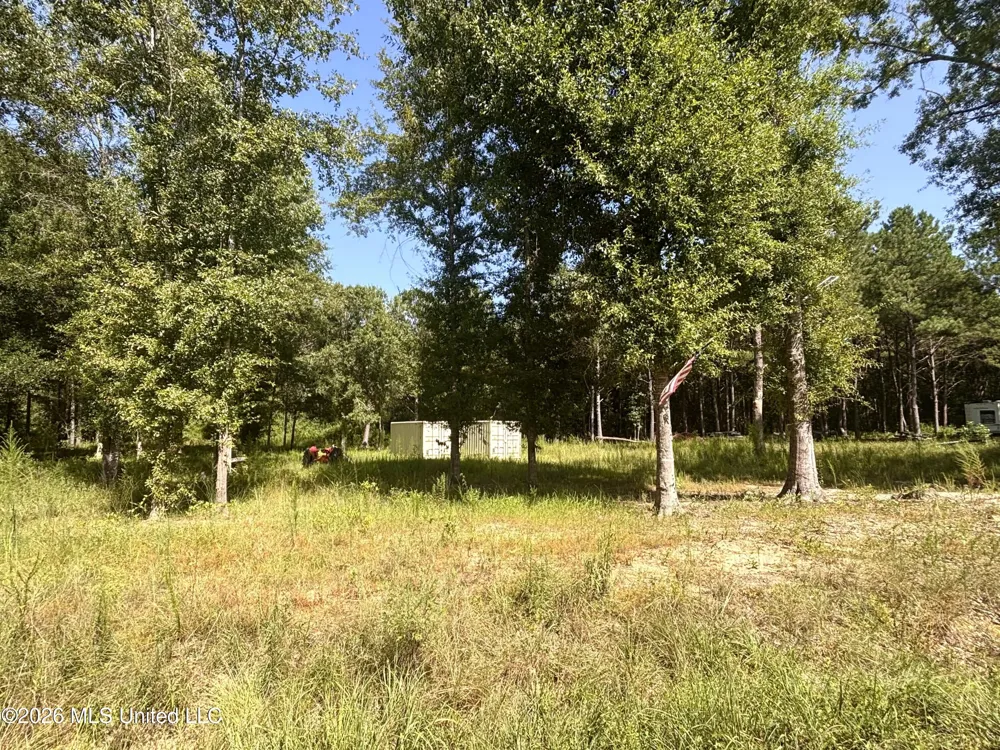 0 Robert Rhodes Poplarville, MS 39470