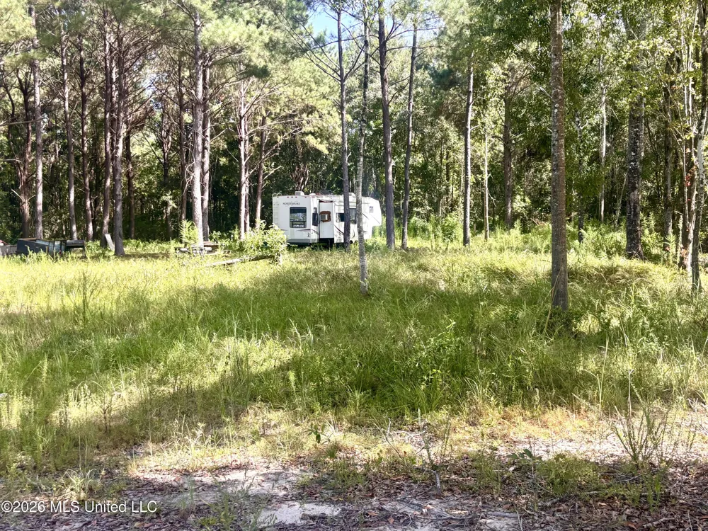 0 Robert Rhodes Poplarville, MS 39470