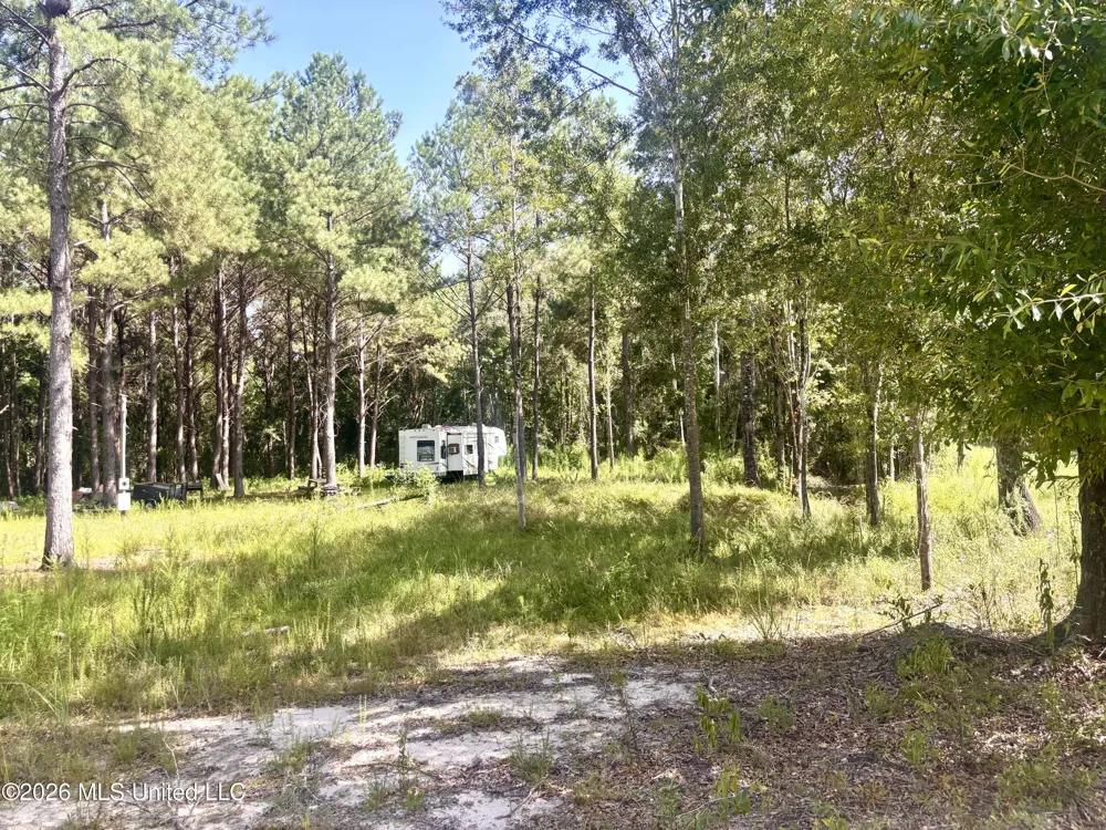 0 Robert Rhodes Poplarville, MS 39470