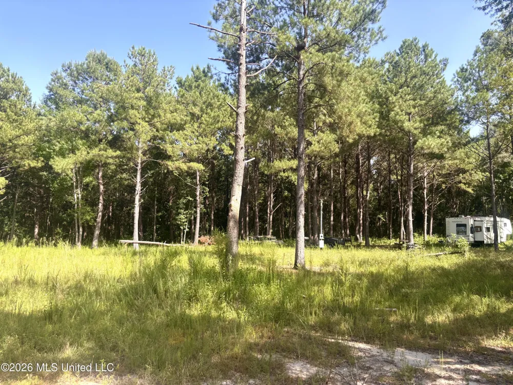 0 Robert Rhodes Poplarville, MS 39470