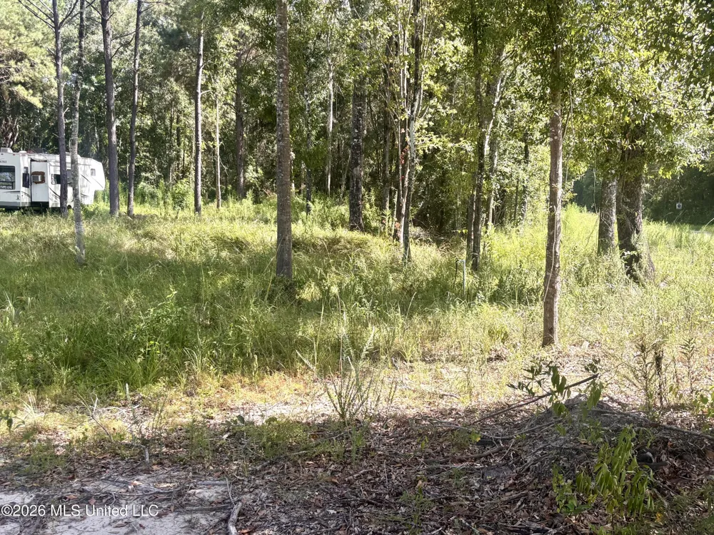0 Robert Rhodes Poplarville, MS 39470