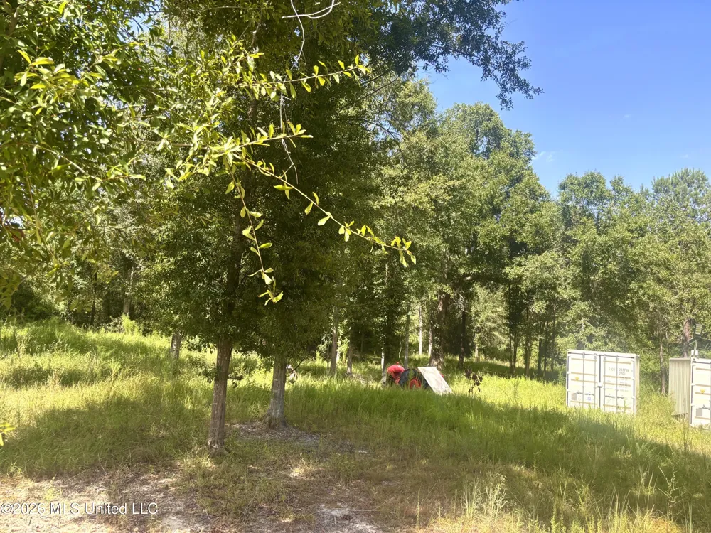 0 Robert Rhodes Poplarville, MS 39470