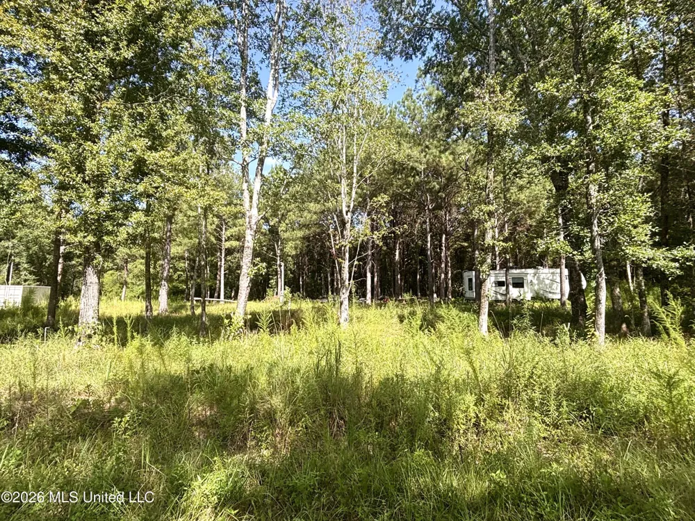 0 Robert Rhodes Poplarville, MS 39470