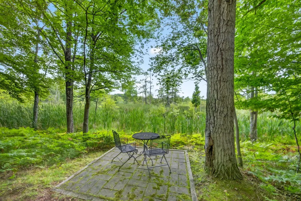 9443 Clubhouse Drive W Canadian Lakes, MI 49346