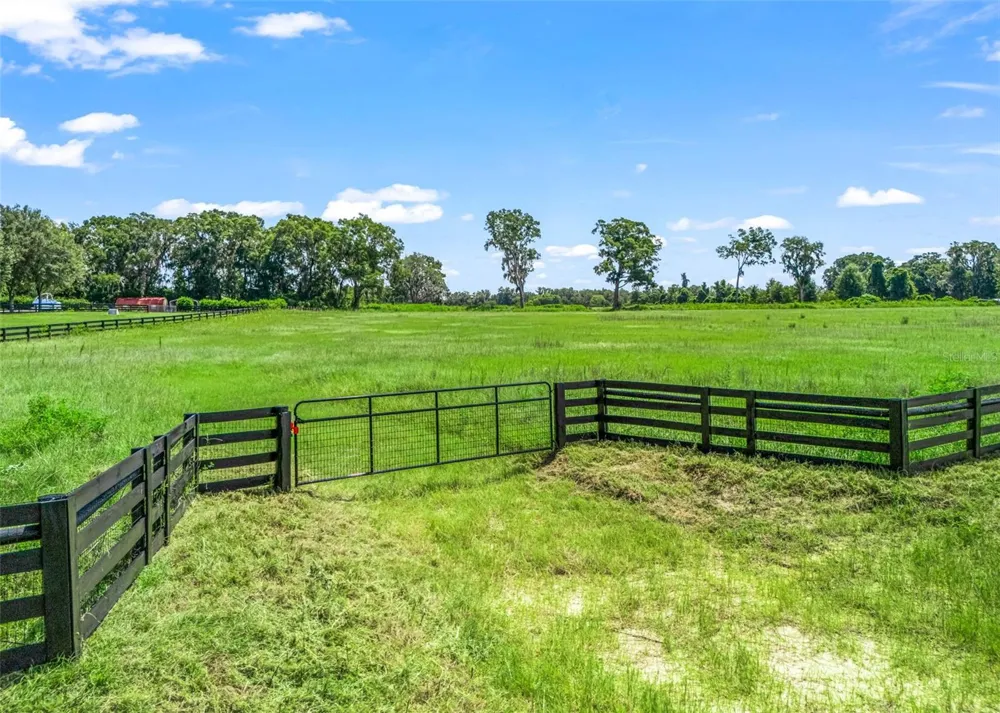 HWY 441 Citra, FL 32113