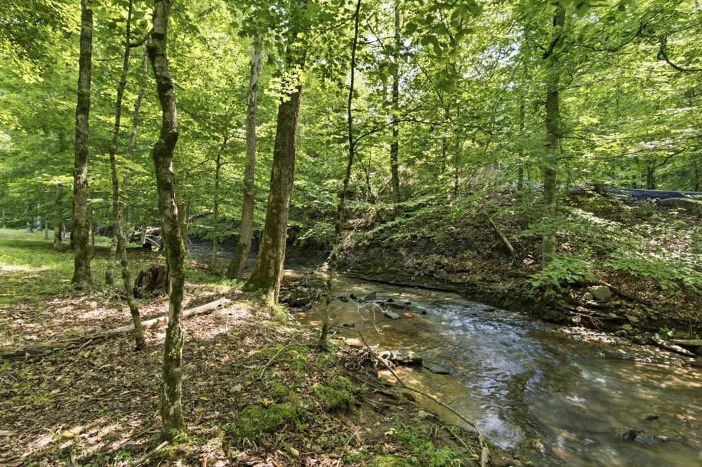 3560 Tyree Springs Rd Hendersonville, TN 37075