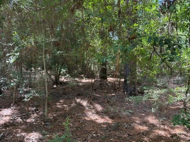 Twigwood Drive Brookeland, TX 75931