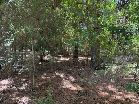 Twigwood Drive