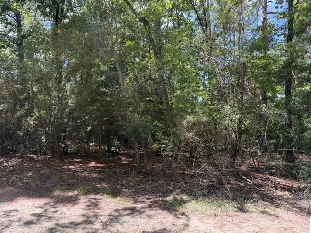 Twigwood Drive Brookeland, TX 75931
