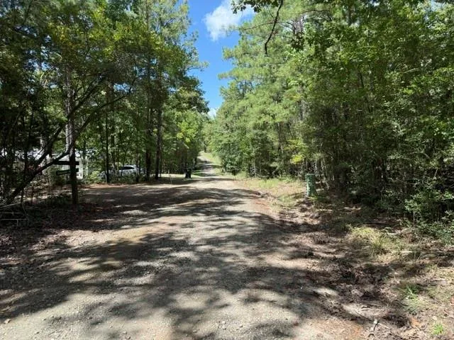 Twigwood Drive Brookeland, TX 75931