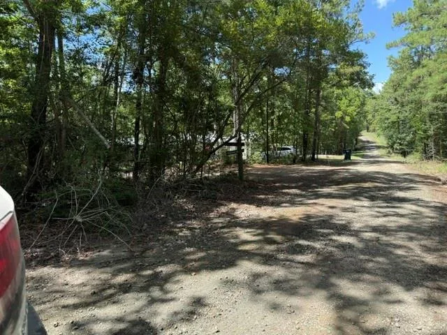 Twigwood Drive Brookeland, TX 75931