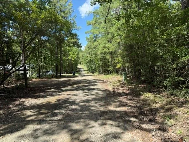Twigwood Drive Brookeland, TX 75931