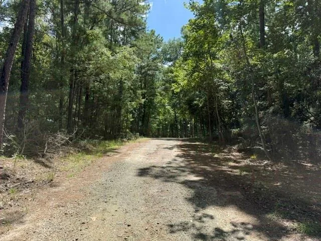 Twigwood Drive Brookeland, TX 75931