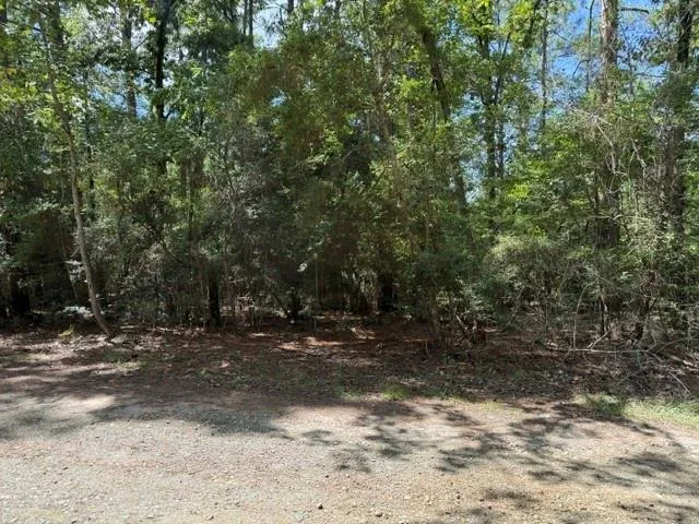 Twigwood Drive Brookeland, TX 75931