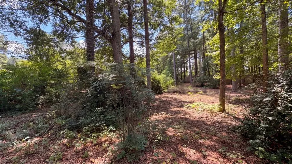 115 Emerald Lane Hampton, GA 30228