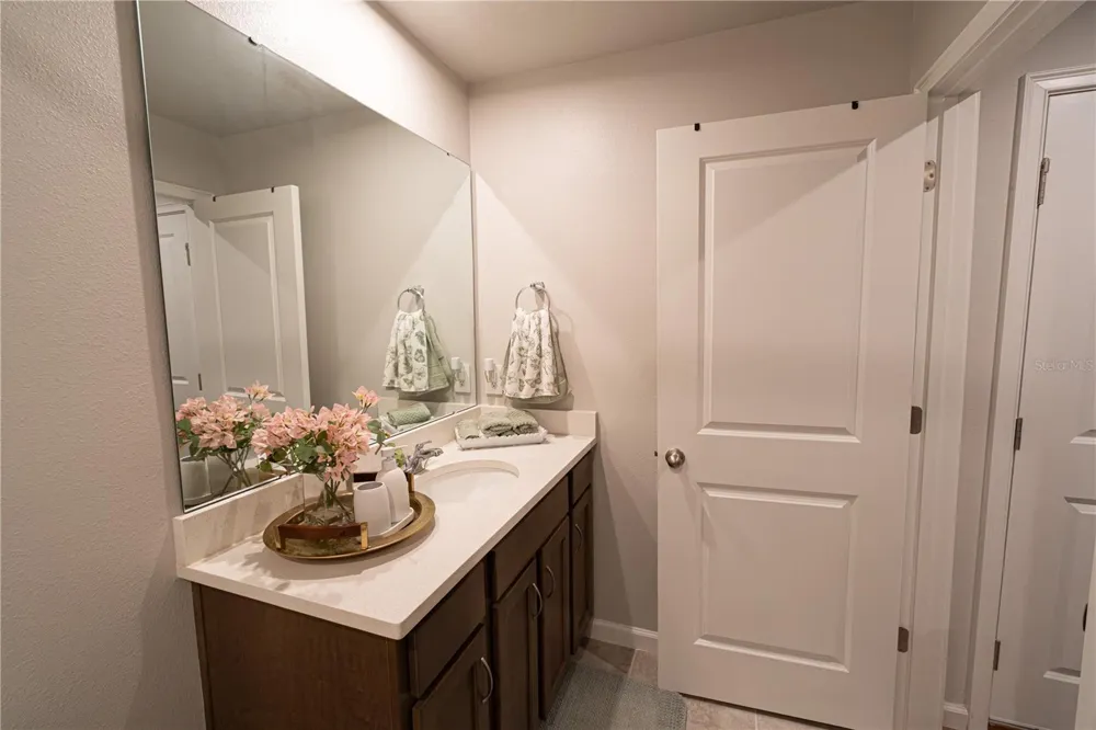 3216 MOONLIT LILY PLACE Brandon, FL 33511