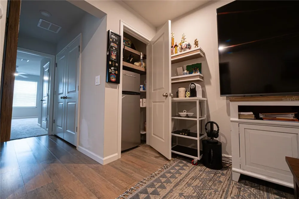 3216 MOONLIT LILY PLACE Brandon, FL 33511