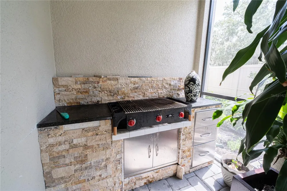 3216 MOONLIT LILY PLACE Brandon, FL 33511