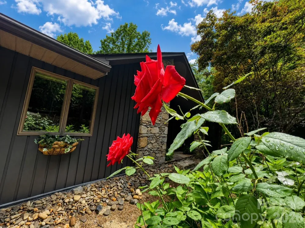 1105 High Vista Drive Mills River, NC 28759