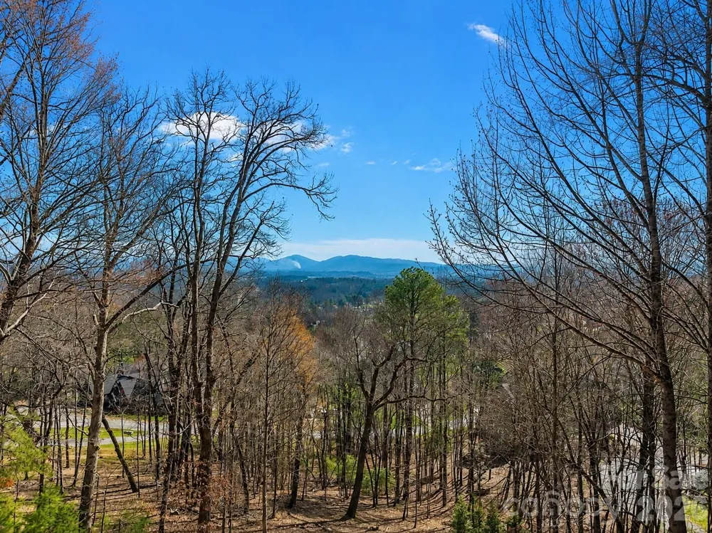 1105 High Vista Drive Mills River, NC 28759