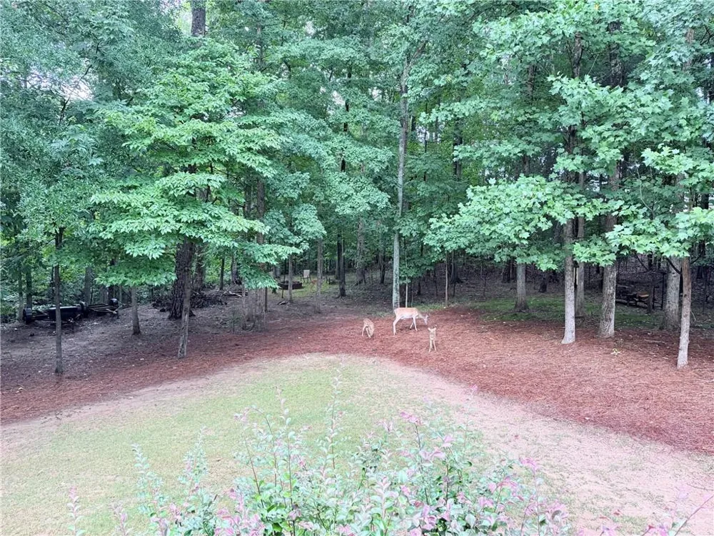 3616 Lively Oak Drive Jefferson, GA 30549