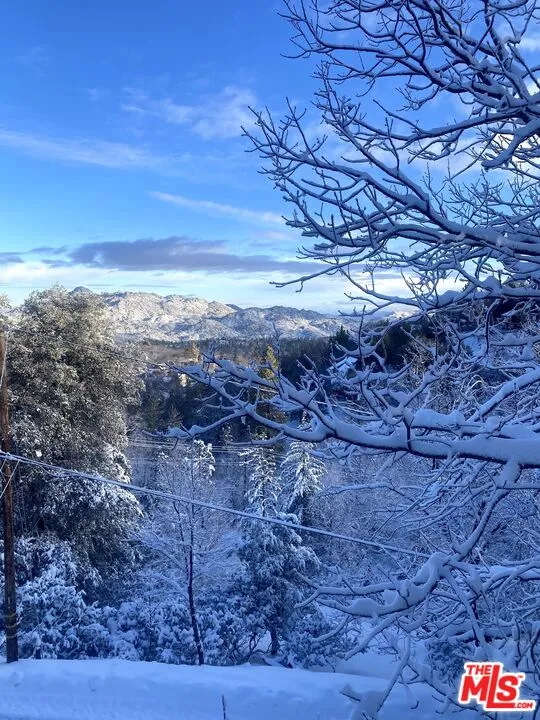 1327 Evergreen Lane Lake Arrowhead, CA 92352
