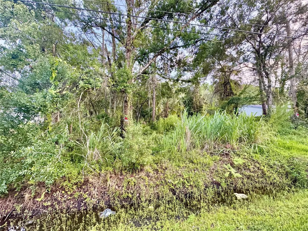 18704 16TH AVENUE Orlando, FL 32833