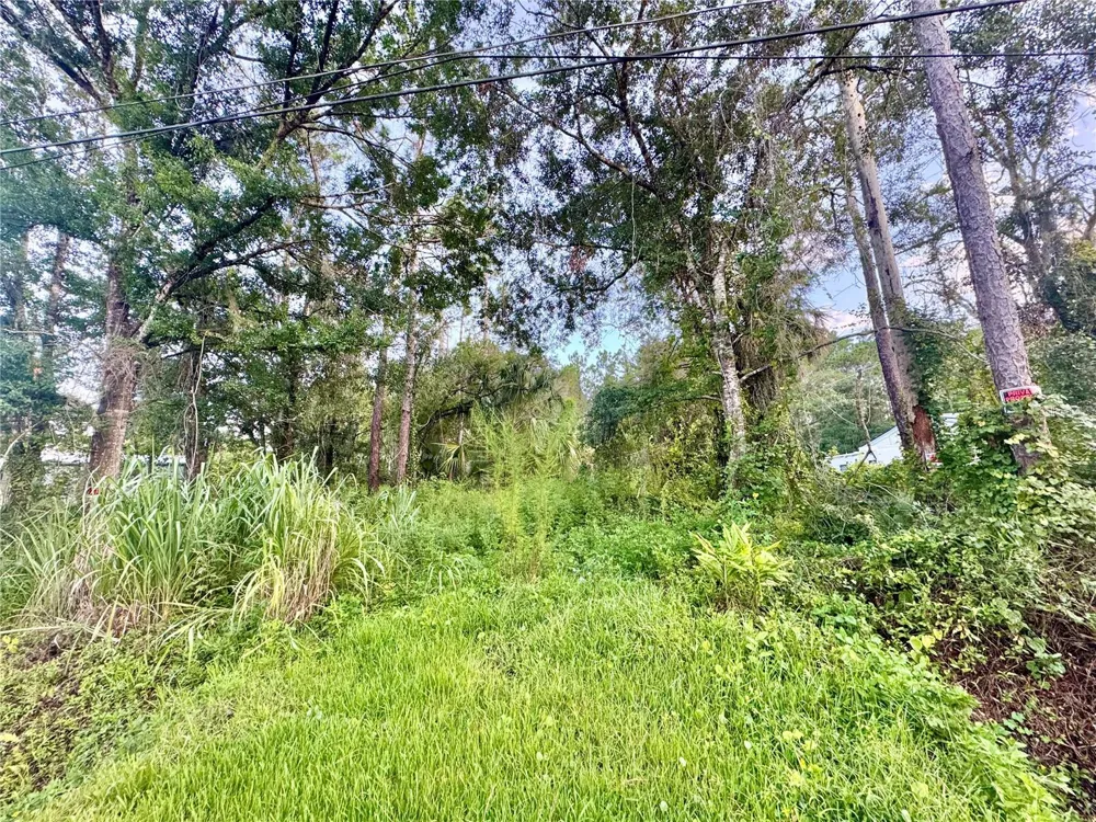 18704 16TH AVENUE Orlando, FL 32833
