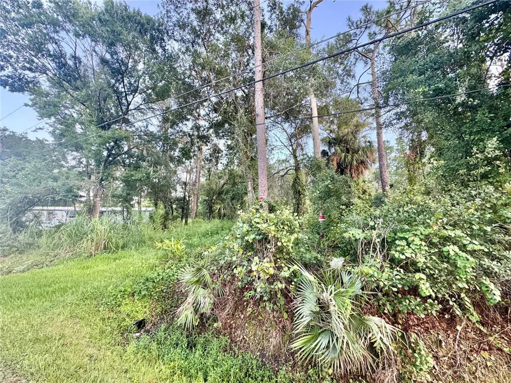 18704 16TH AVENUE Orlando, FL 32833
