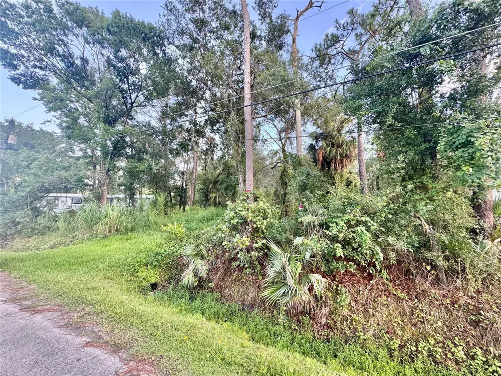 18704 16TH AVENUE Orlando, FL 32833