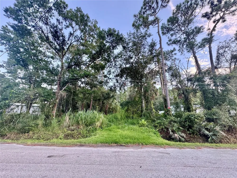 18704 16TH AVENUE Orlando, FL 32833
