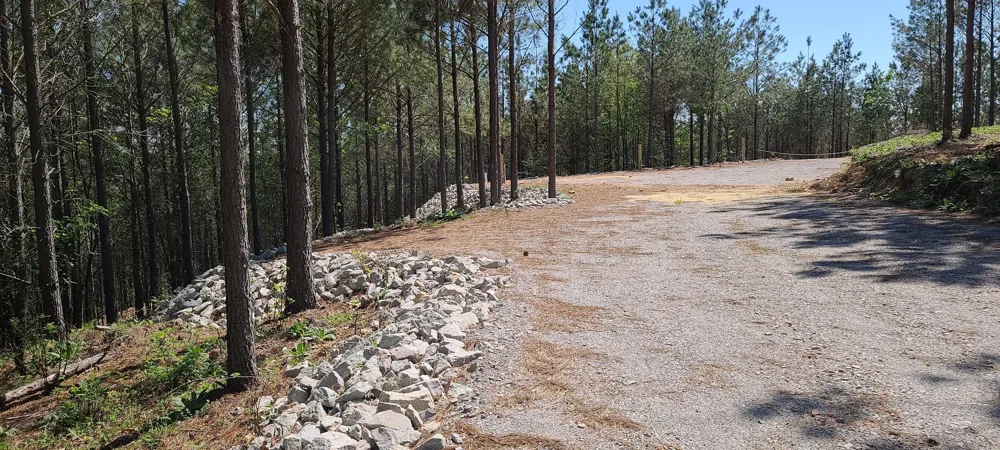 29 Summit Dr Linden, TN 37096