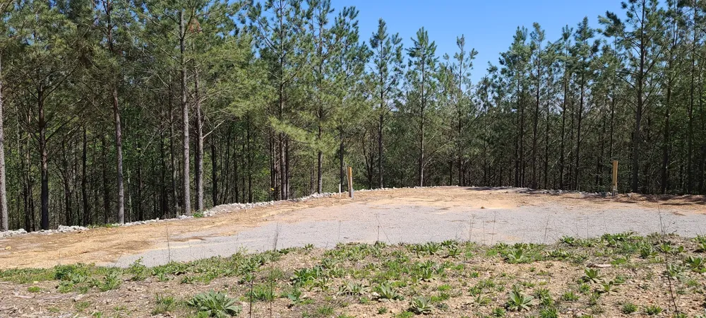 29 Summit Dr Linden, TN 37096