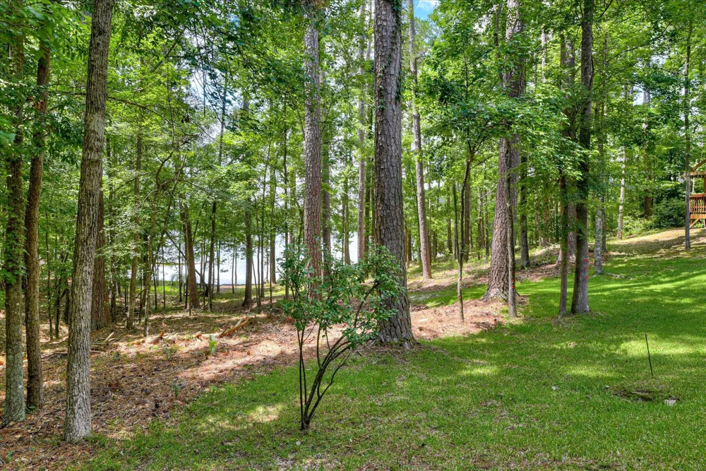 204 Chickadee Court Mccormick, SC 29835
