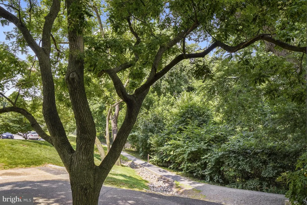 5901 MOUNT EAGLE DRIVE #108 Alexandria, VA 22303
