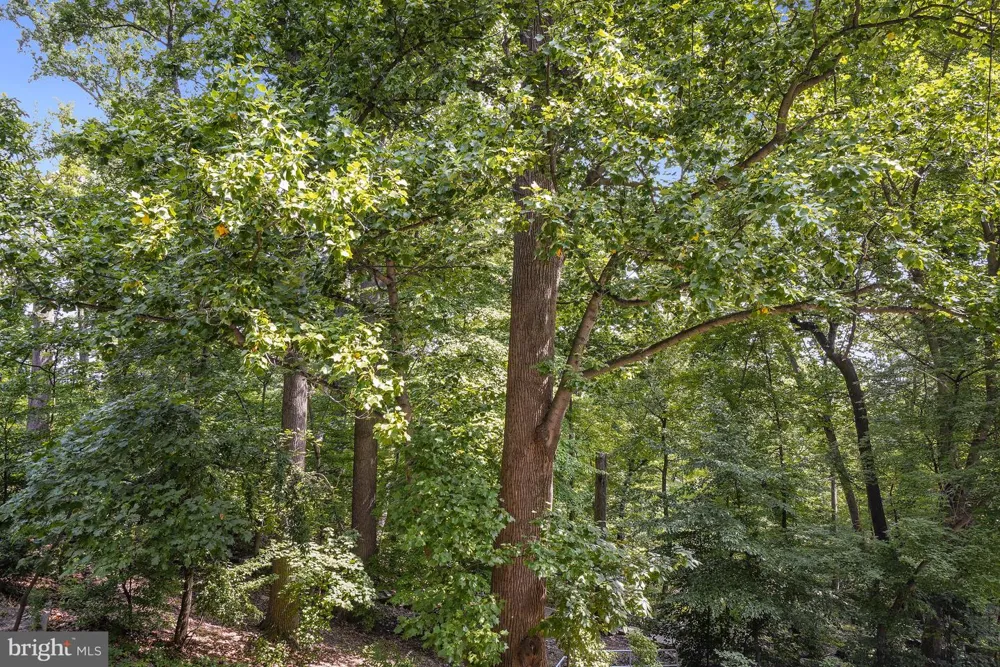 5901 MOUNT EAGLE DRIVE #108 Alexandria, VA 22303