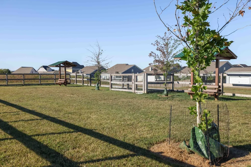 917 Sassafras Ct Spring Hill, TN 37174