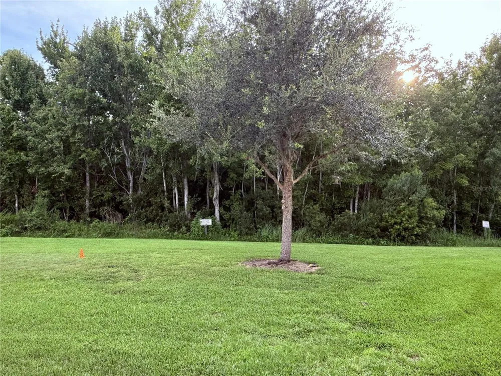 11155 SAVANNAH LANDING CIRCLE Orlando, FL 32832